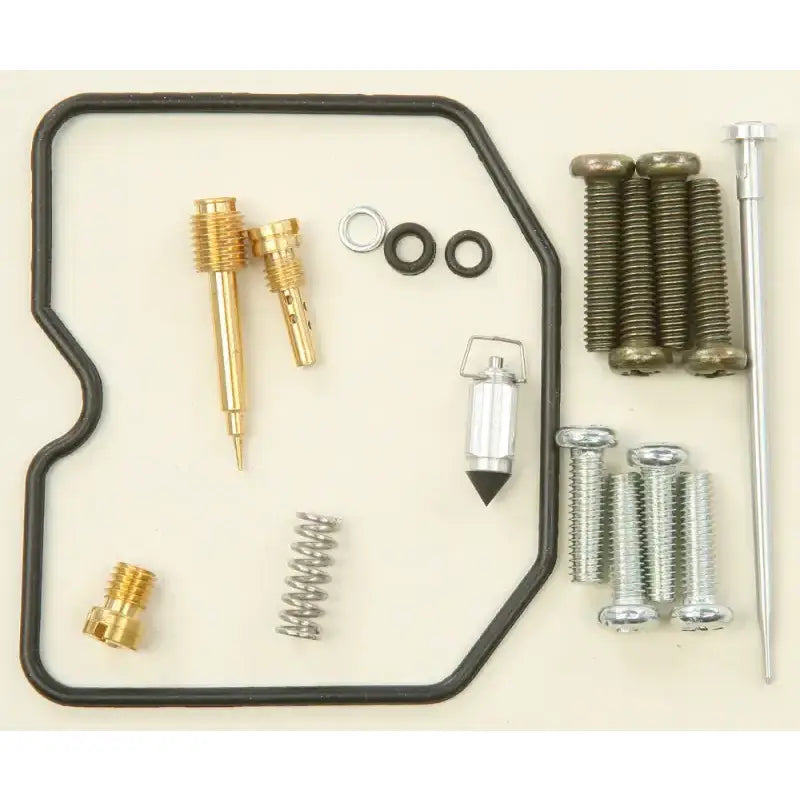 26-1100 Bike Carburetor Rebuild Kit - Repair
