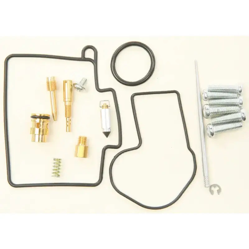 Carburetor rebuild kit.