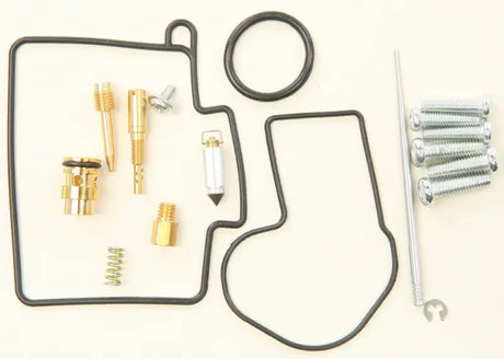 Carburetor rebuild kit.