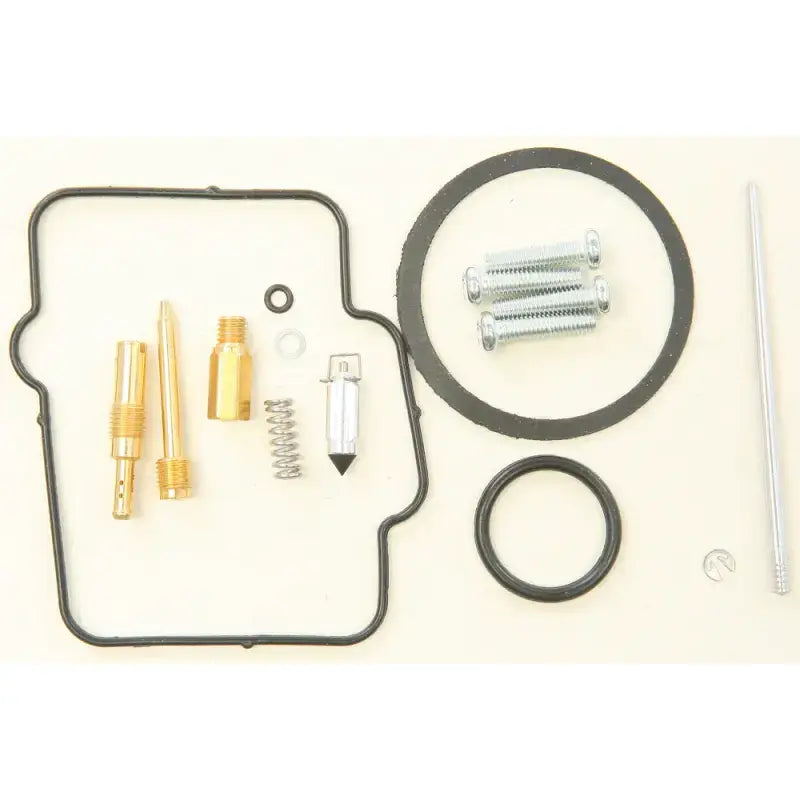 Bike Carburetor Rebuild Kit with accelerator pump for carburetor repair and repair kit