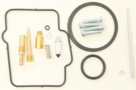 Bike Carburetor Rebuild Kit with accelerator pump for carburetor repair and repair kit