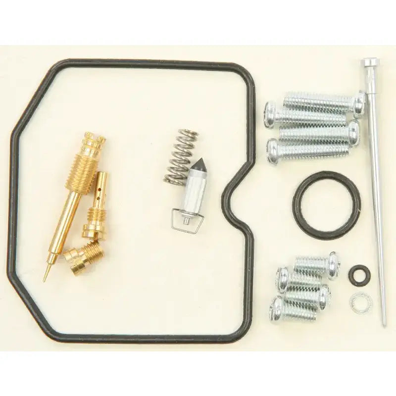 26-1419 Bike Carburetor Rebuild Kit - Repair