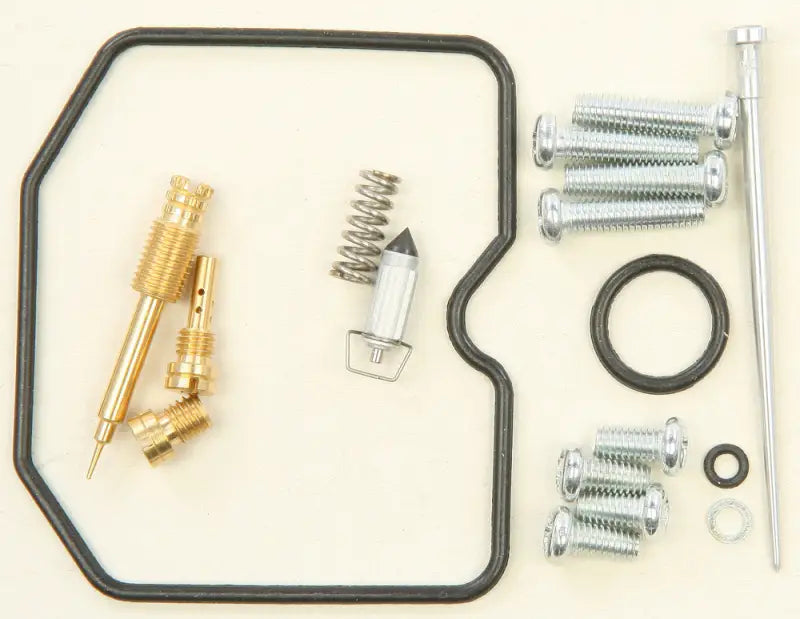 26-1419 Bike Carburetor Rebuild Kit - Repair