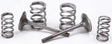PROX 28.SES4409-1 Exhaust Valve Conversion Set Ti Steel Kaw