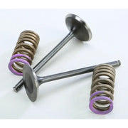 28.SIS1336-2 Intake Valve Conversion Set Ti Steel Hon - Spring Kit