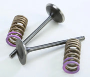 28.SIS1336-2 Intake Valve Conversion Set Ti Steel Hon - Spring Kit