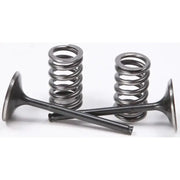 Sis1405-2 intake valve conversion set with engine valves and springs for easy upgrade