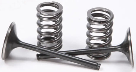 Sis1405-2 intake valve conversion set with engine valves and springs for easy upgrade