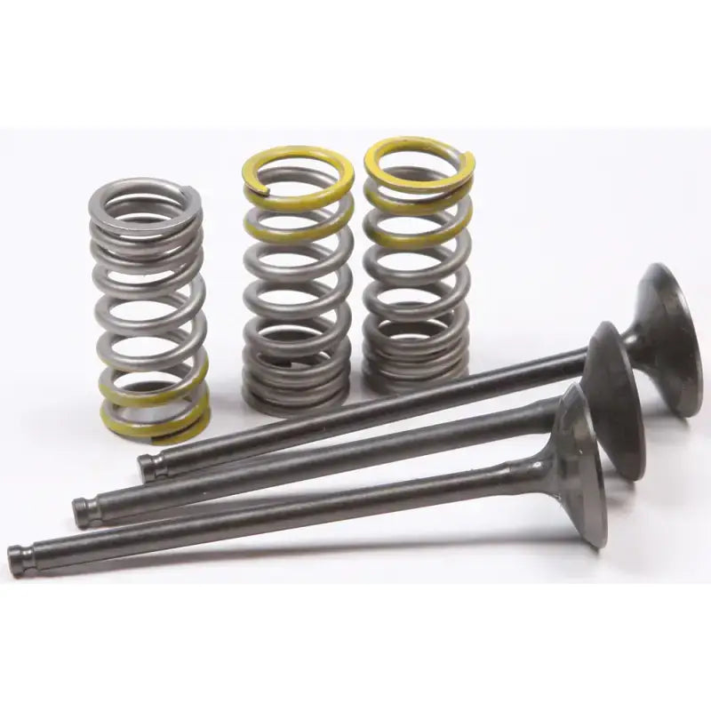 28.SIS2402-2 Intake Valve Conversion Set Ti Steel Gas/Yam, featuring steel valves and stronger springs for durability in extreme conditions, ideal for RV, Automotive, Powersports, off-road, marine, exterior, truck accessories, interior, truck bed, RV parts, Powersports, Air Intake Systems, AVADA - Best Sellers
