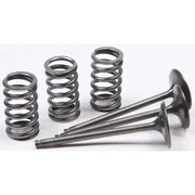 28.SIS2424-2 Intake Valve Conversion Set Ti Steel Gas/Yam - Spring Kit