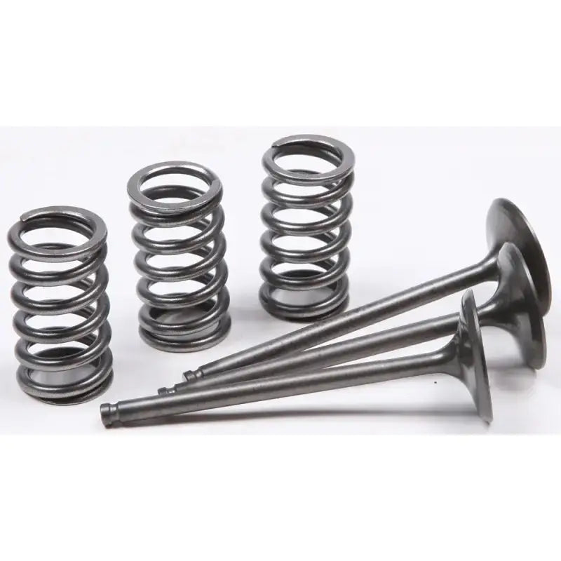 28.SIS2424-2 Intake Valve Conversion Set Ti Steel Gas/Yam - Spring Kit