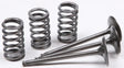 28.SIS2424-2 Intake Valve Conversion Set Ti Steel Gas/Yam - Spring Kit