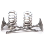 28.SIS3338-2 Intake Valve Conversion Set Ti Steel Suz - Spring Kit