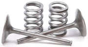 Automotive engine valves and springs from the 28.SIS3407-2 Steel Intake Valve Conversion Set Ti Steel Suz with stronger valve springs