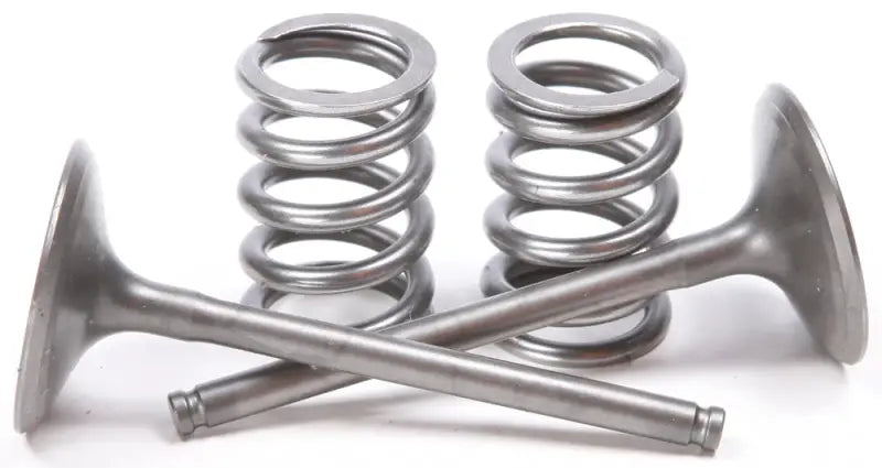 Automotive engine valves and springs from the 28.SIS3407-2 Steel Intake Valve Conversion Set Ti Steel Suz with stronger valve springs