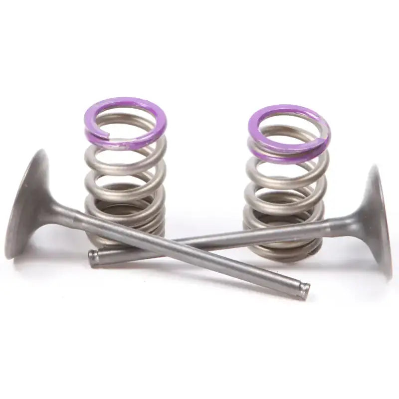 Engine valves and springs with purple keepers in steel intake valve set for stronger valve springs