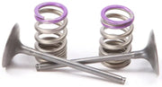 Engine valves and springs with purple keepers in steel intake valve set for stronger valve springs