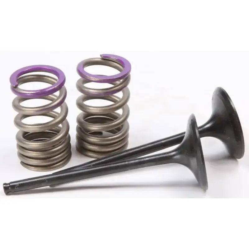 28.SIS4338-2 Intake Valve Conversion Set Ti Steel Kaw - Spring Kit