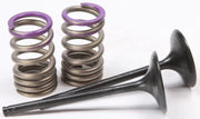 28.SIS4338-2 Intake Valve Conversion Set Ti Steel Kaw - Spring Kit