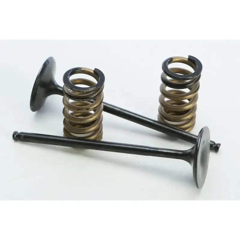 Used steel intake valve springs and engine valves for Hus/Ktm bikes in the conversion set