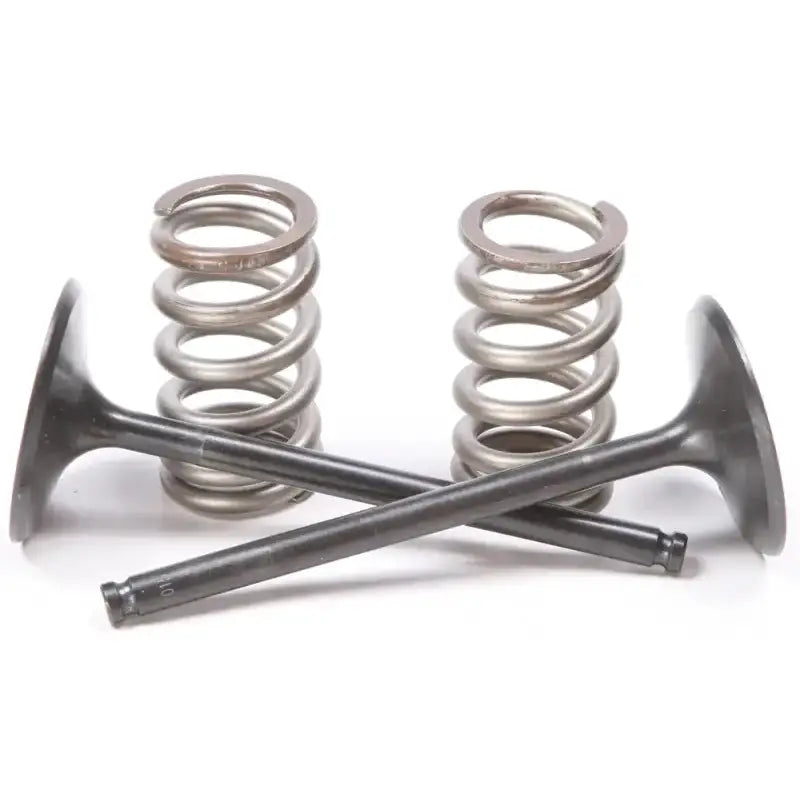 Steel intake valve springs and engine valves for Husq/KTM in the 28.SIS6351-2 set