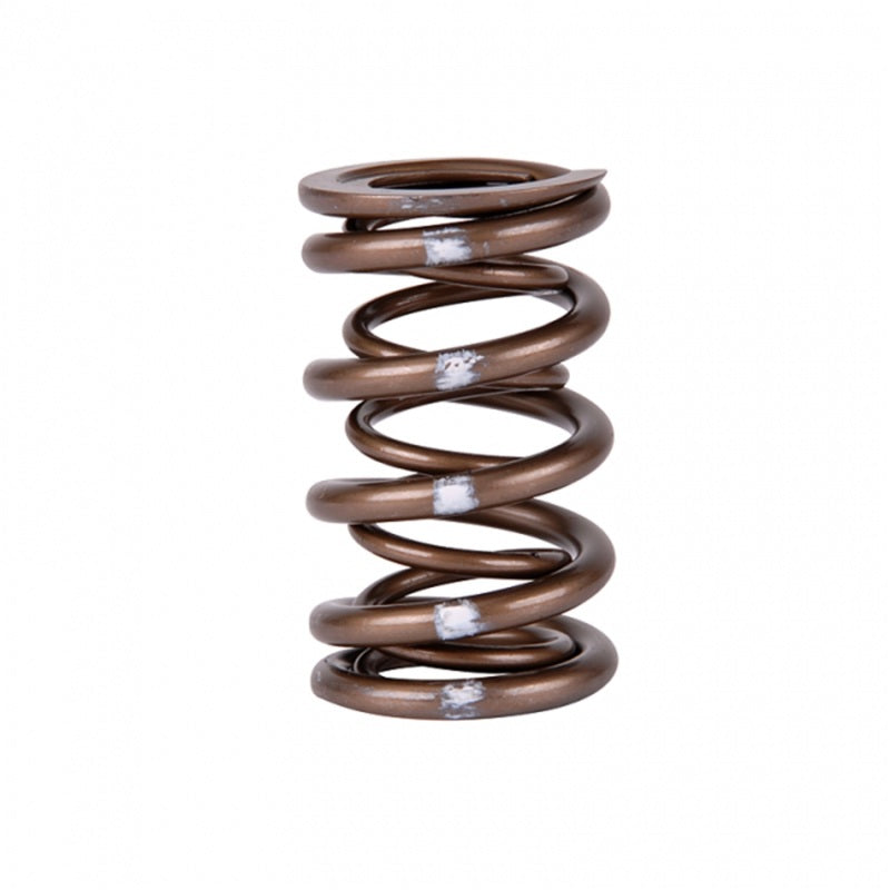 Skunk2 Racing 311-05-7380 Skunk2 Pro Series Honda/Acura K-Series i-VTEC XP Valve Spring Set (Dual Springs)