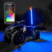 XK GLOW XK-WHIPB-STA