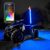 XK GLOW XK-WHIPB-STA
