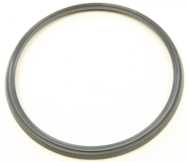 30-19201 Brake Drum Seal