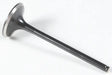 30-31066 Black Diamond Exhaust Valve