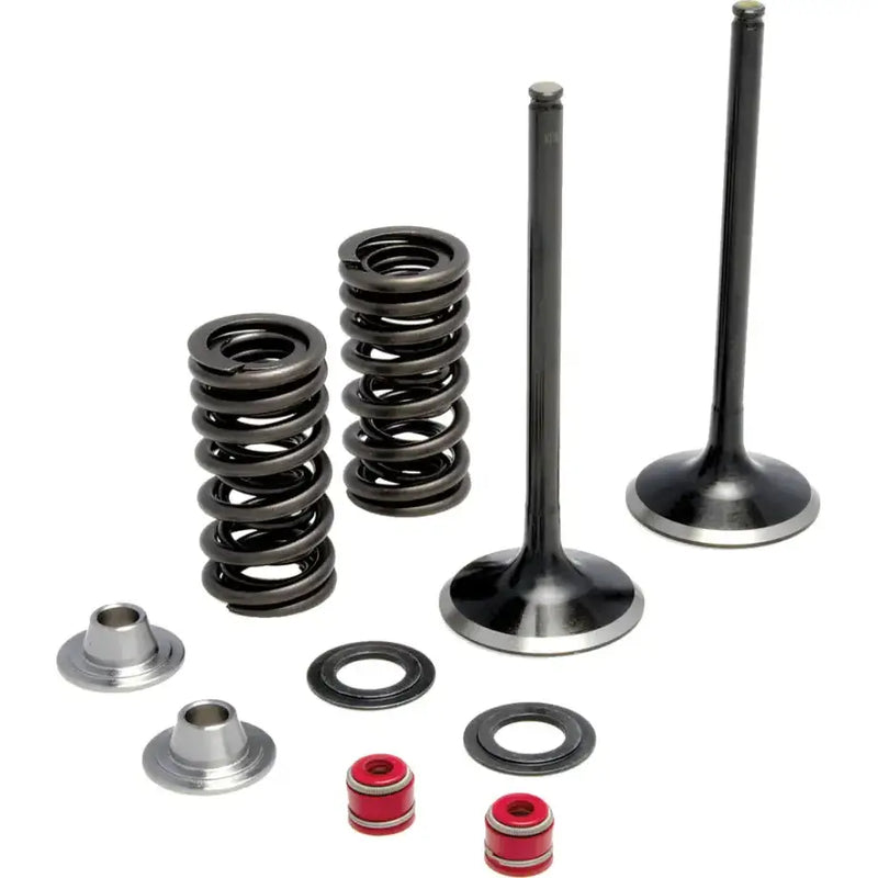 30-31210 Intake Valve Spring Kit
