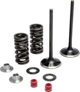 30-31500 Intake Valve Spring Kit