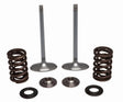 30-32780 SS Intake Valve/Spring Kit - Valve Spring
