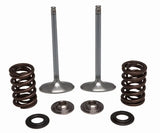 30-32780 SS Intake Valve/Spring Kit - Valve Spring