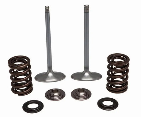 30-32780 SS Intake Valve/Spring Kit - Valve Spring