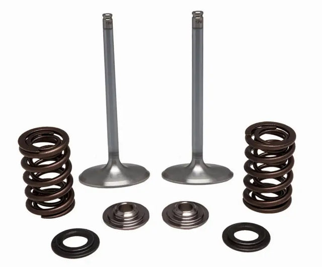 30-32780 SS Intake Valve/Spring Kit - Valve Spring