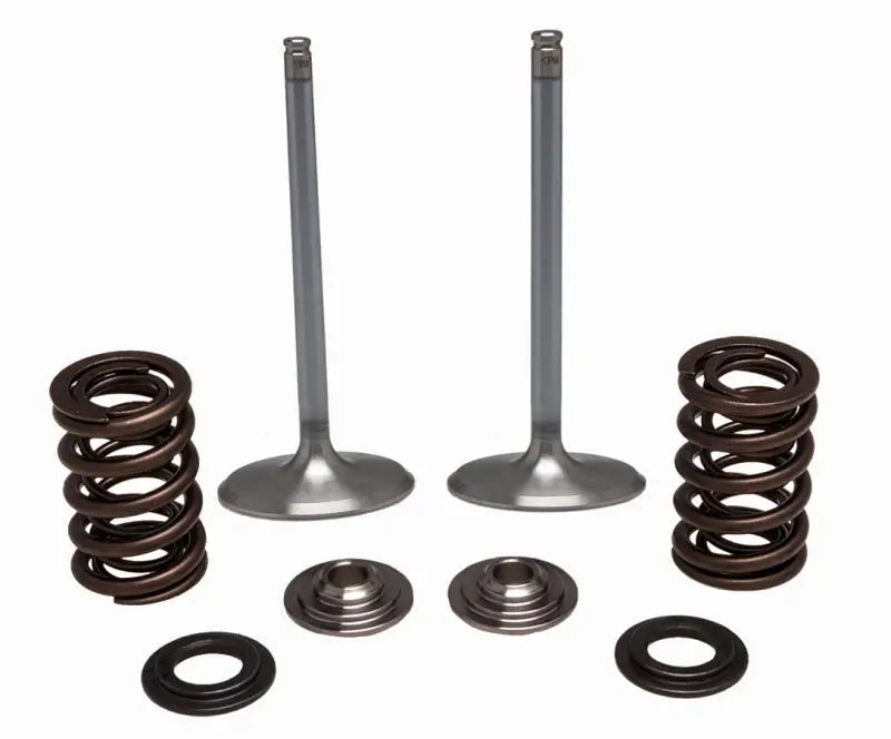 30-32780 SS Intake Valve/Spring Kit - Valve Spring