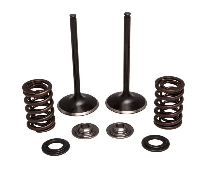 30-33200 Kpmi Intake Valve/Spring Kit Stainless Steel - RV and Auto Parts