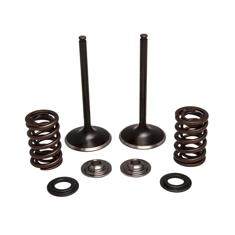 Engine valve train components featuring the 30-33250 Intake Valve Spring Kit Stainless Steel