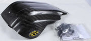 301041 Skid Plate Carbon Fiber