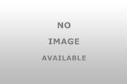 30133MC Furnace Motor