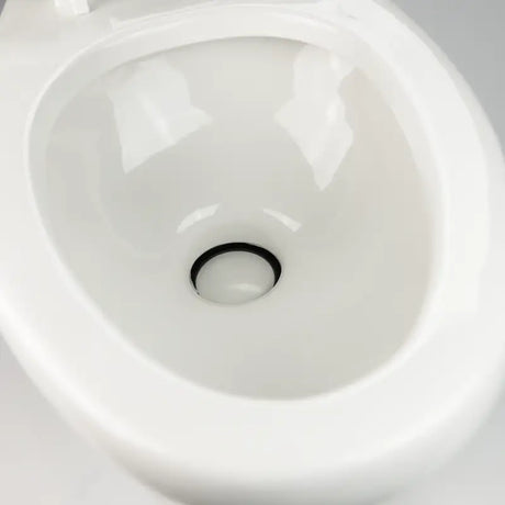 302320081 Dometic Toilet Permanent