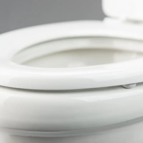302320081 Dometic Toilet Permanent
