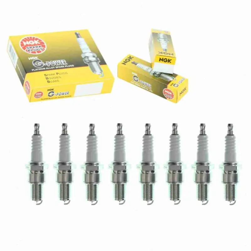 NGK G-Power Champion Platinum Spark Plugs for 3031 Champion Platinum Spark Plug Box
