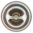 304-198 Thermostat