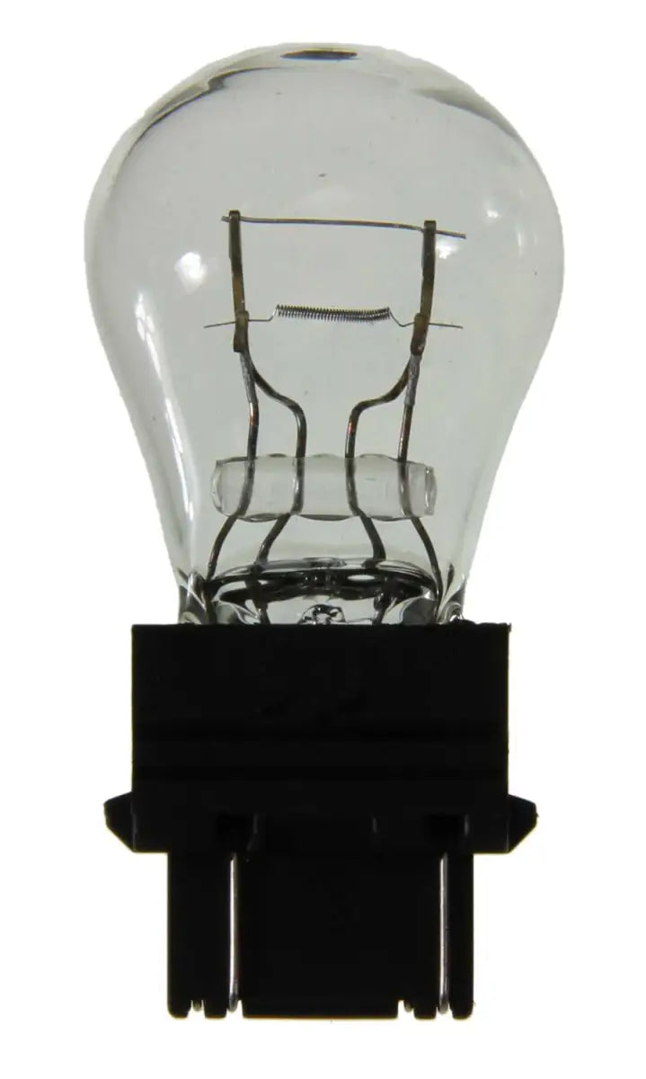 3047 Brake Light Bulb