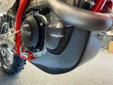 309059 Skid Plates Carbon Fiber Beta