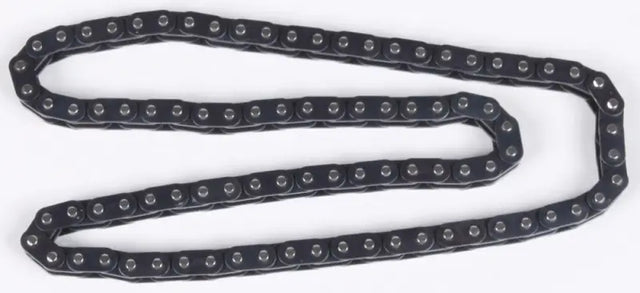 31.2487 Cam Chain