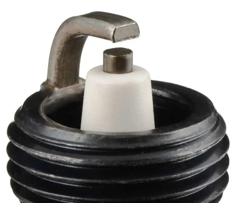 3116 Spark Plug