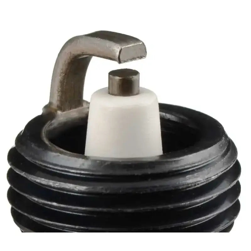 3116 Spark Plug